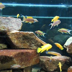 Underwater World - 05/2015