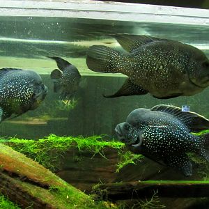 Underwater World - 05/2015