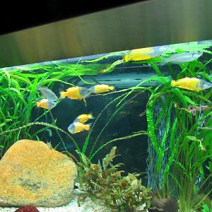 Underwater World - 05/2015