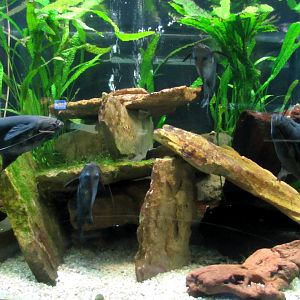 Underwater World - 05/2015