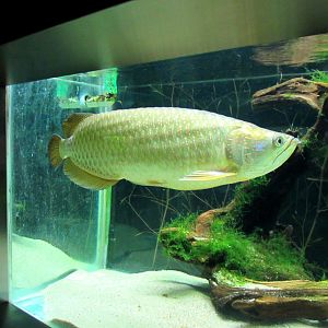 Underwater World - 05/2015