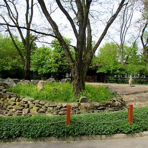 Zebra enclosure - 05/2015