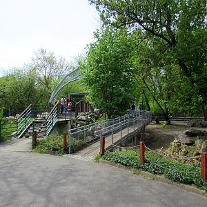 Enter platform for aviary vultures. On the right - zebras enclosure, on the left - oryxes enclosure - 05/2015
