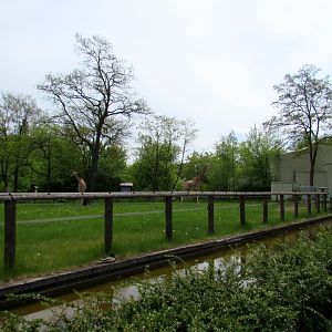 Giraffes enclosure - 05/2015