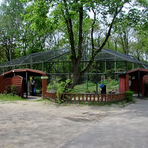 Red-crowned Cranes exhibit - 05/2015