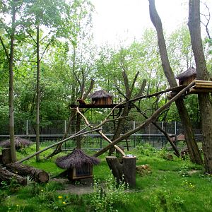 Red Pandas enclosure - 05/2015