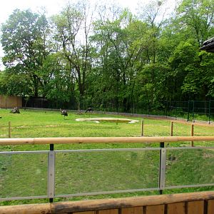 Australian enclosure (emus & red kangaroos) - 05/2015