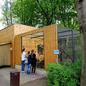 Squirrel Monkey house and enclosure  - 05/2015