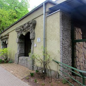 Lion-tailed Macaque indoor exhibit - 05/2015
