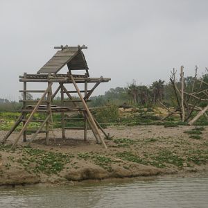 Reserve Africaine de Sigean - Barbary macaque island