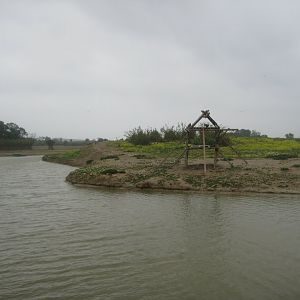Reserve Africaine de Sigean - Barbary macaque island