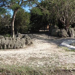 Indian Rhinoceros Exhibit Front View