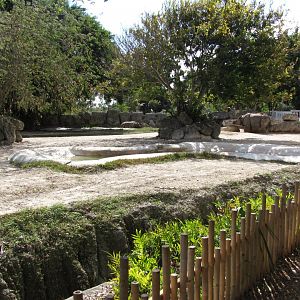 Indian Rhinoceros Exhibit