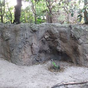 Wings of Asia Panorama 1