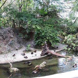 Wings Of Asia Panorama 2