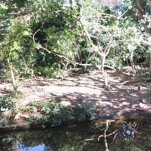 Wings Of Asia Panorama 3