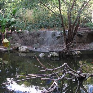 Wings Of Asia Panorama 4