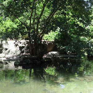 Wings Of Asia Panorama 5