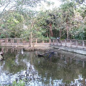 Wings Of Asia Panorama 6