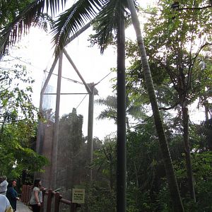 Great Indian Hornbill Exhibit