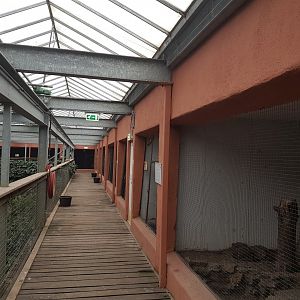 Aviaries first floor Bamboo Jungle