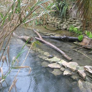 Reserve Africaine de Sigean - Mixed turtle exhibit