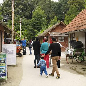 South Indian village