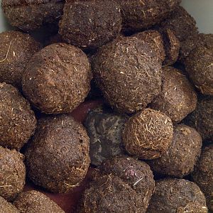 Preserved elephant dung