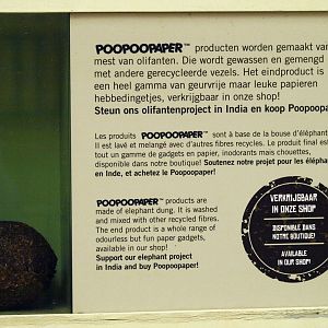 Poopoo paper information
