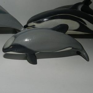Hector´s Dolphin on wood