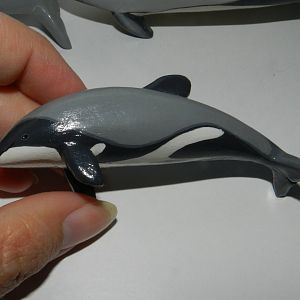 Hector´s Dolphin on wood