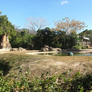 Asian Elephant Exhibit Side View Panorama