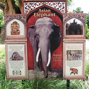 Asian Elephant Exhibit Sign