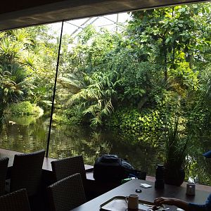 View from cafe in the Masoala hall