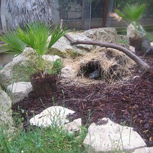 Reserve Africaine de Sigean - Monitor exhibit