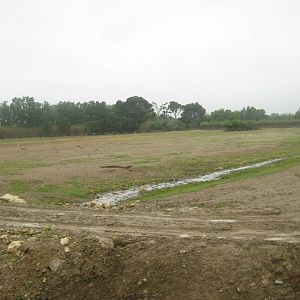 Reserve Africaine de Sigean - Zoo savanna