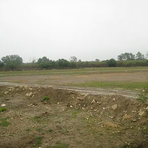 Reserve Africaine de Sigean - Zoo savanna