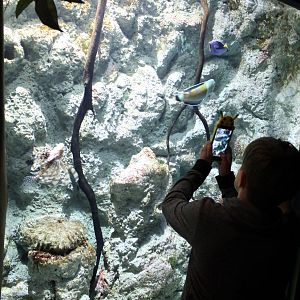 Taking photos of fish