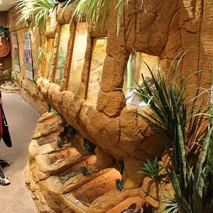 Invertebrates-enclosures