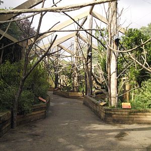 Walkthrough area for lemurs