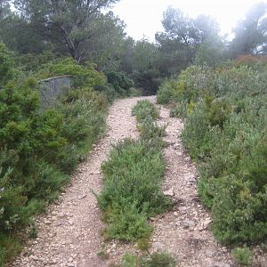 Reserve Africaine de Sigean - Mediterranean garden