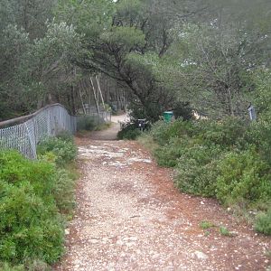 Reserve Africaine de Sigean - Mediterranean garden