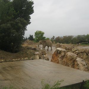 Reserve Africaine de Sigean - Elephant exhibit