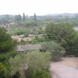 Reserve Africaine de Sigean - Chimpanzee islands