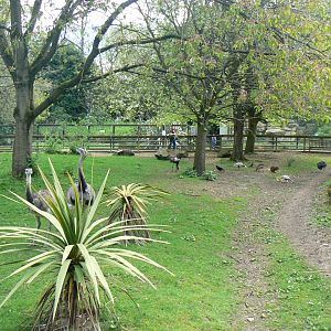 Feeding Time in one of the Pens - 23 April 2017