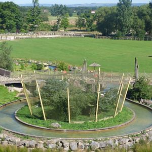 View of Aviary from Chairlift- 2016