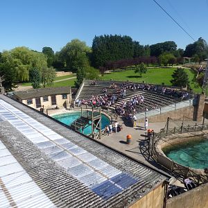 View of Sea-Lion Pools and Show-Area- 2016