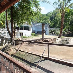 Elephant, Water Buffalo, and Hog Deer Enclosure