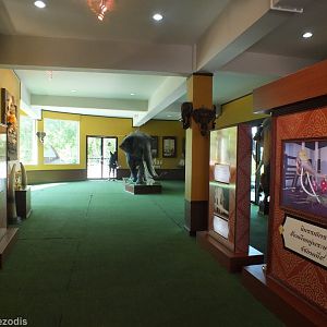 Elephant Learning Station