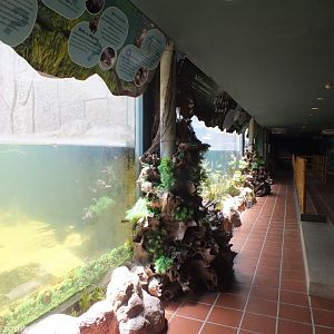 Underwater Viewing Area in Wildlife Wonderland